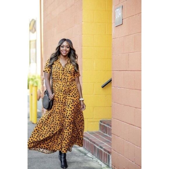 ANTHROPOLOGIE Porridge Vianne Maxi Shirt Dress Cheetah Animal Print Size 2 - Picture 5 of 16
